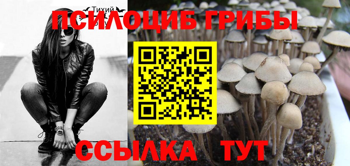 Галлюциногенные грибы мухоморы Батайск